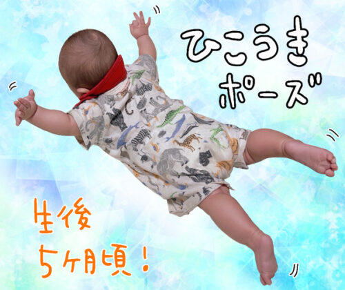 生後５ヶ月頃の赤ちゃんが腹ばいで手足を広げて飛行機ポーズをしている写真です。